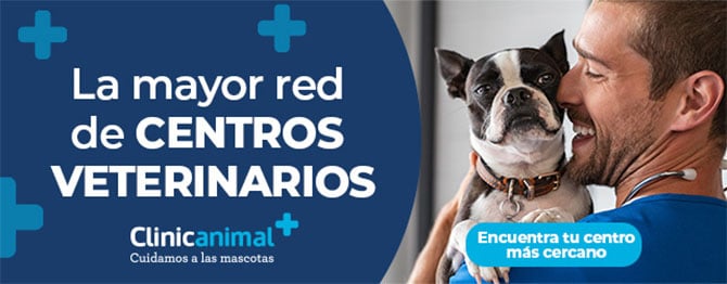 Clinicanimal: Encuentra tu centro veterinario más cercano