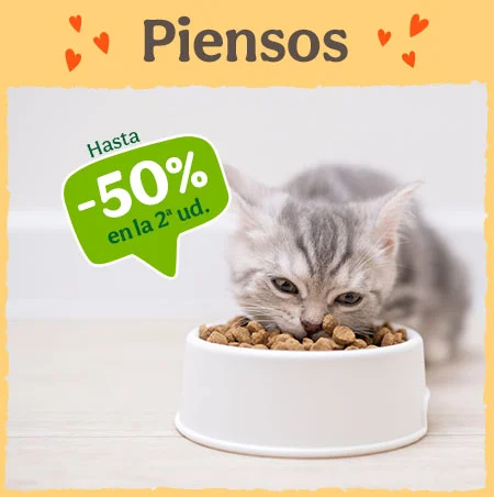 Piensos para Gatos: Hasta 50% dto en la 2ª unidad de piensos para tu gato.