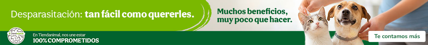 Consejos para desparasitar a tu peludo.