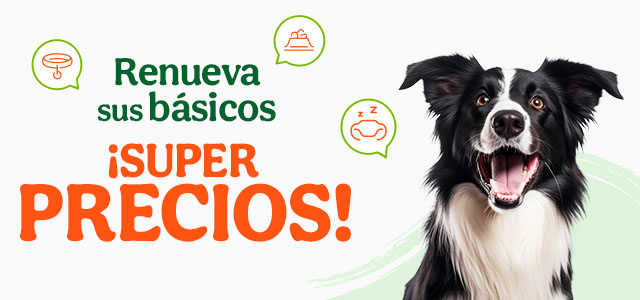 ¡Super precios en accesorios para perro!
