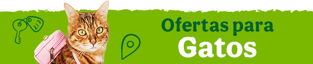 Todas las ofertas gato