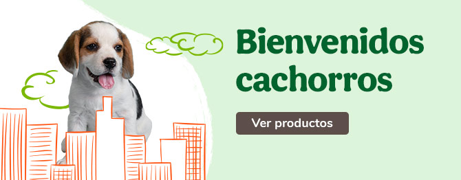 Bienvenidos perritos