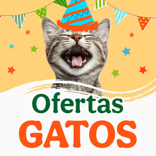 ¡Aniversario! Ofertas gato