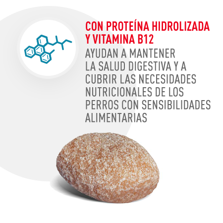 Con proteína hidrolizada y vitamina B12 ayudando a mantener la salud digestiva.