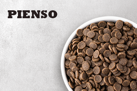 Acana. Pienso para gatos