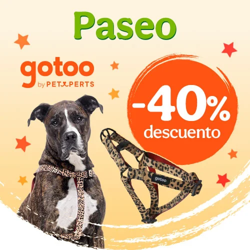 GoToo: -40% de dto en accesorios de paseo para perro.