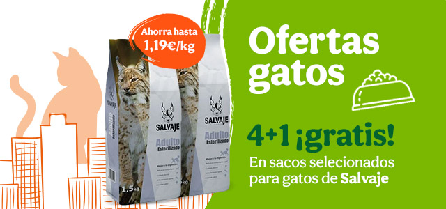Ofertas gato: Salvaje perro y gato -20% 2ªud y 4+1 en selección pienso de gato