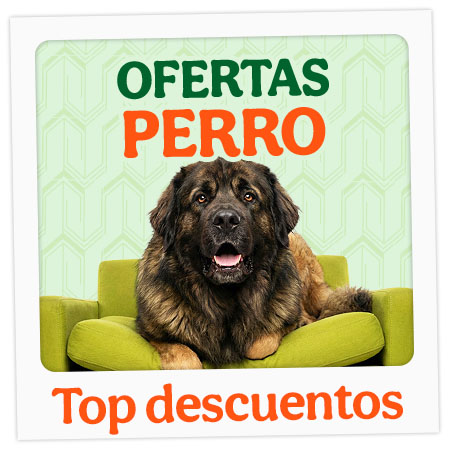 Ofertas perro.