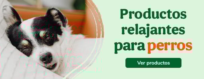 Relajantes para perro