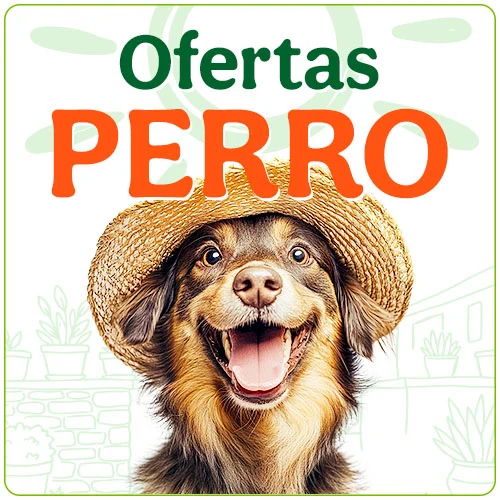 Ofertas perro.