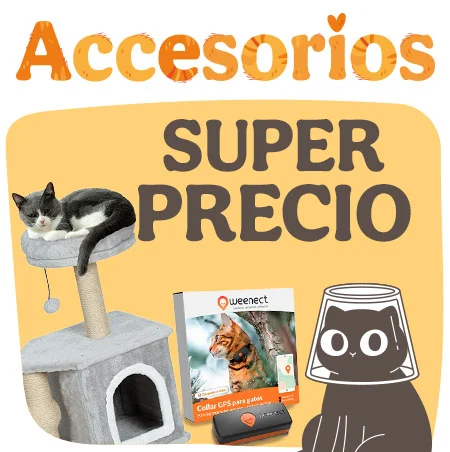 Michimania: Accesorios para gatos con súper precios.