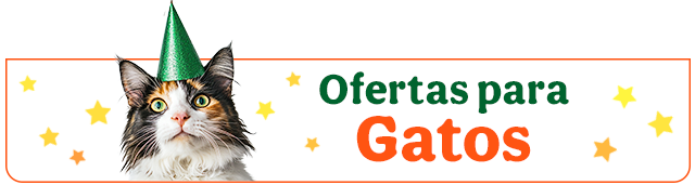 Todas las ofertas gato