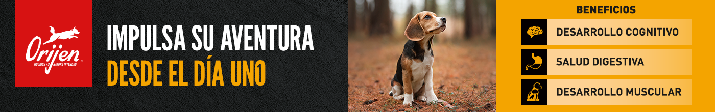 Orijen cachorros. Impulsa su aventura desde el primer día, favoreciendo su desarrollo cognitivo, salud digestiva y desarrollo muscular.