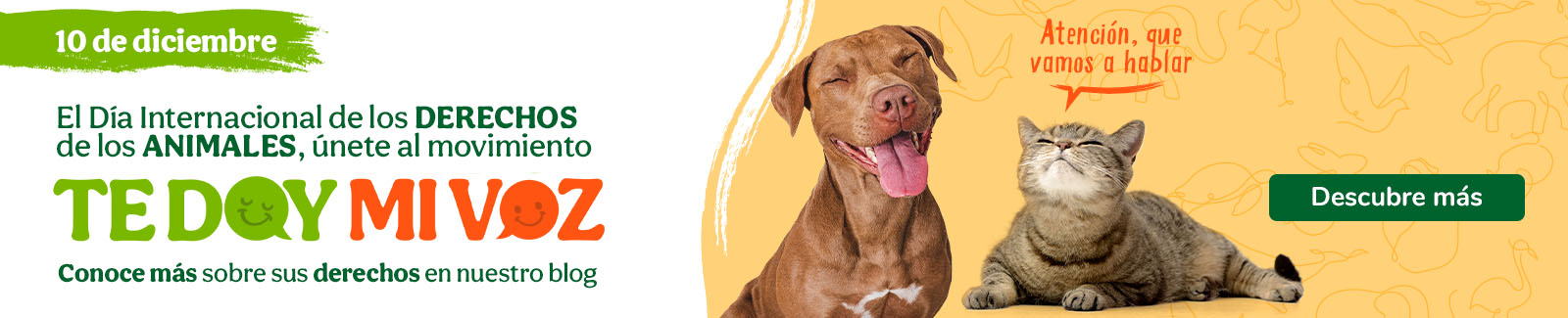¡Día Mundial de los animales!