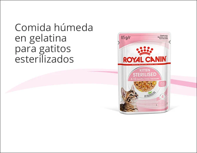 Royal Canin gatito esterilizado comida húmeda en gelatina
