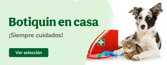 Contruye un kit de primeros auxilios para tu amigo con estos artículos
