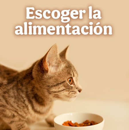 Escoger la alimentación