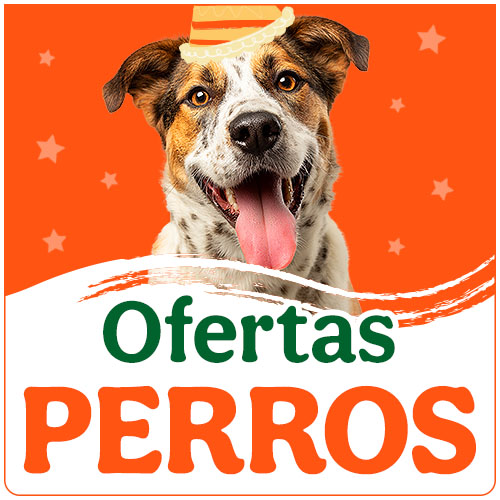 Ofertas perro.