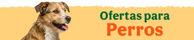 Ofertas perro