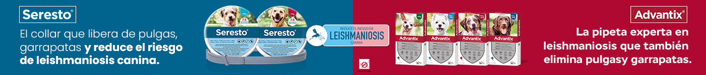 Lucha contra la Leishmaniosis con Seresto y Advantix
