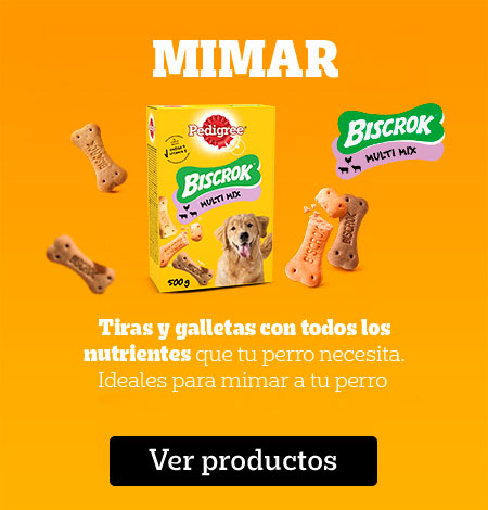 Snacks para mimar