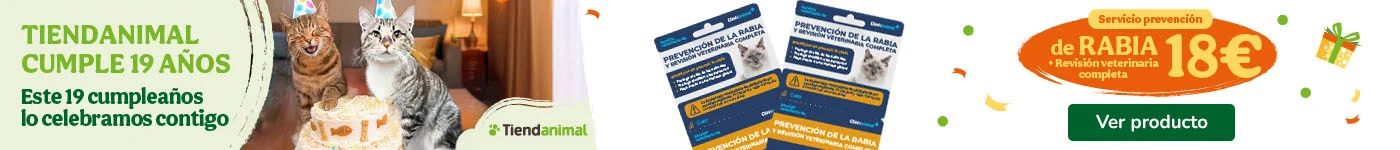 Tarjetas de servicios clínicos para gatos.