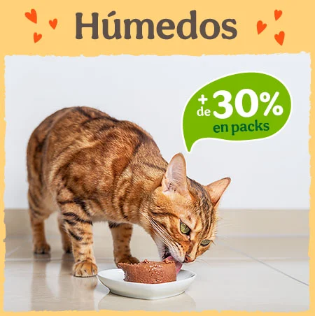 +30% dto en packs de comida húmeda para gatos.