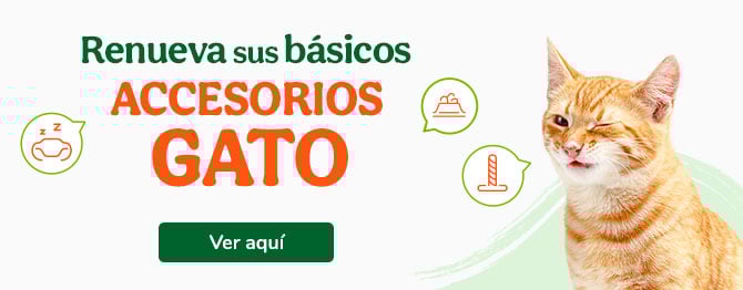 Los mejores accesorios para gato.