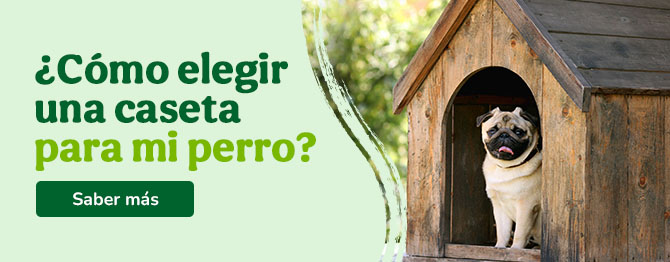 Consejos para elegir la mejor caseta para tu perro