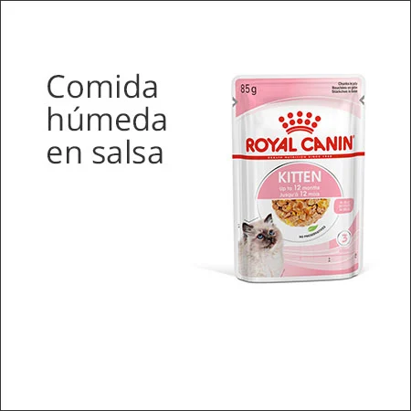 Royal Canin gatito comida húmeda en salsa
