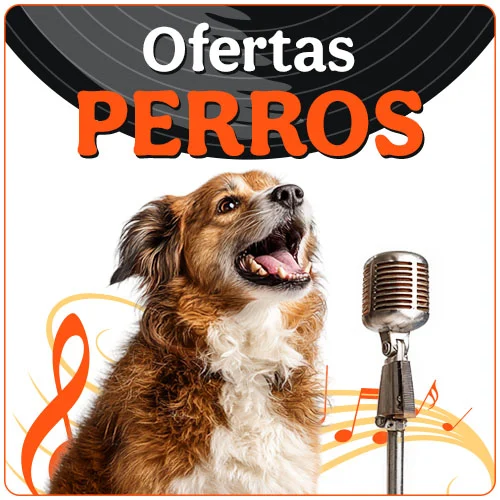 Ofertas perro.