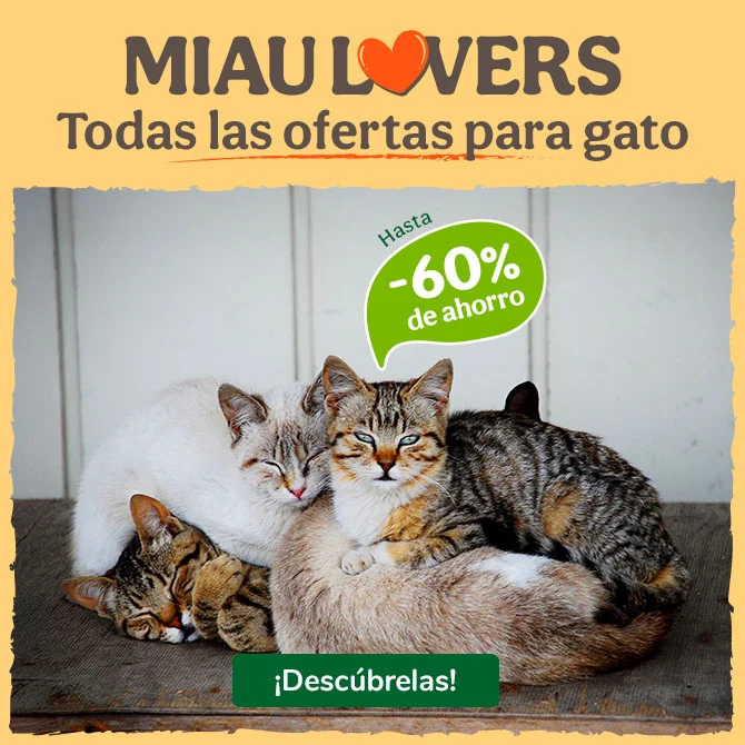Miau Lovers: Hasta 60% de dto. Todas las ofertas para gato.