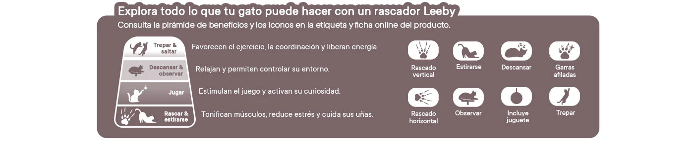 Explora todo lo que tu gato puede hacer con un rascador Leeby