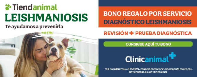 Bono regalo: Revisión + prueba diagnóstica Leishmaniosis