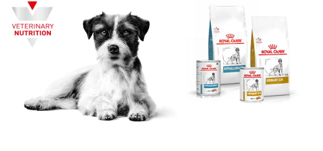 Royal Canin Veterinario Perros