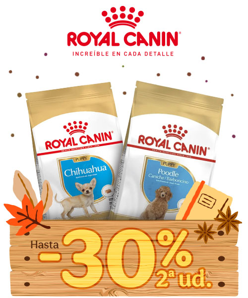 Royal Canin: Hasta 30% dto en la 2ª unidad de piensos para tu perro.