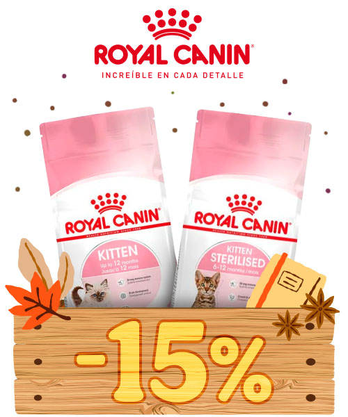 Royal Canin: Hasta 15% dto en pienso para gato.