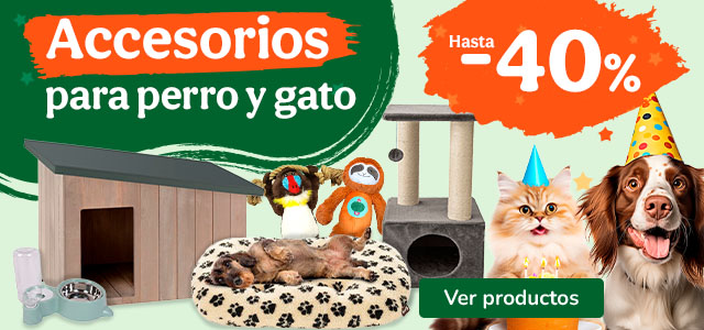 En casa...¡Confort y mimos! 💕​