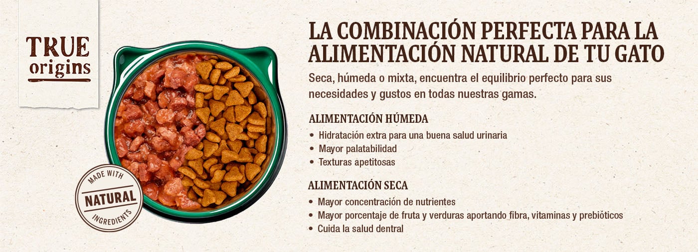 Alimentación seca y húmeda: la combinación perfecta para la alimentación natural de tu gato