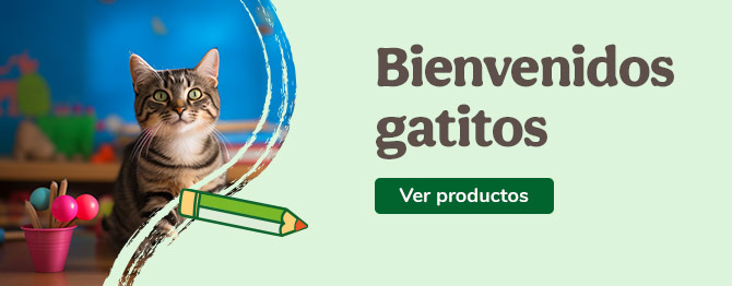 Bienvenidos gatitos