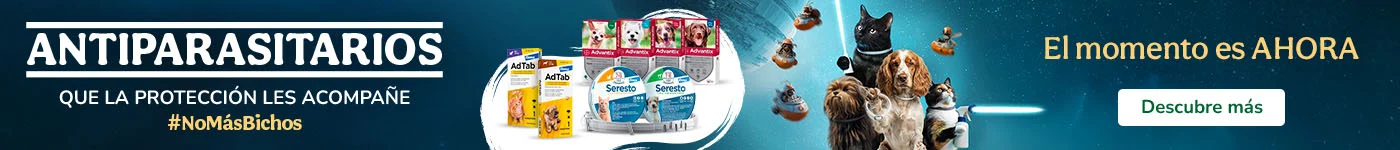 Advantix, Seresto y Adtab ¡Libres de bichitos!