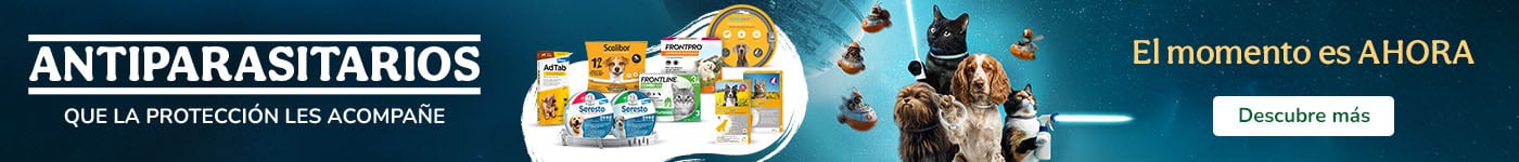 ¡Libres de bichitos! Antiparasitarios para perros y gatos.