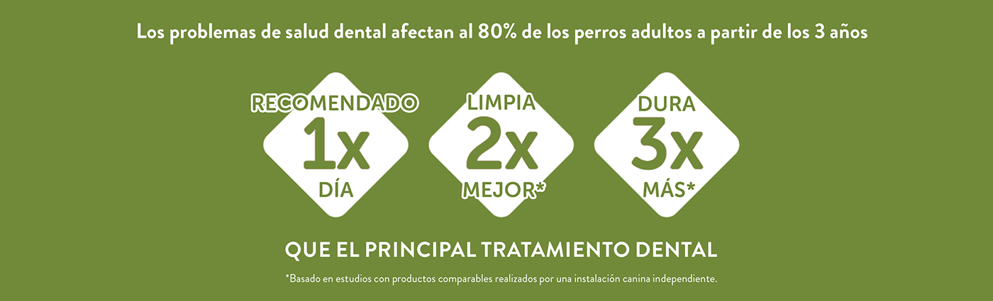 ¿Sabías que los problemas de salud dental afectan al 80% de los perros adultos?