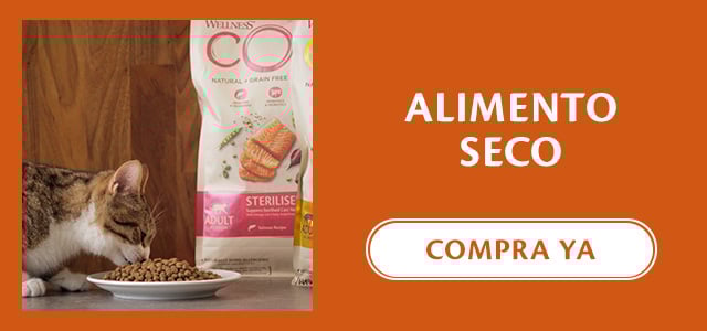 Pienso seco para gato de la marca Wellness Core