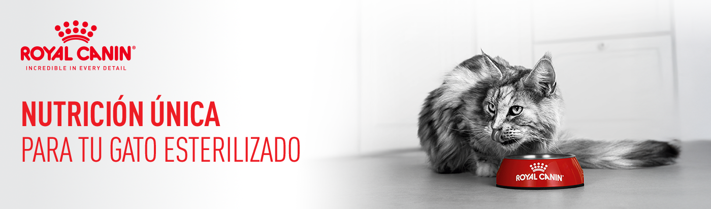 Nutrición única para gato esterilizado