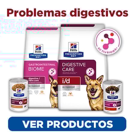 Alimentación para mejorar la digestión y resolver los trastornos digestivos de tu perro