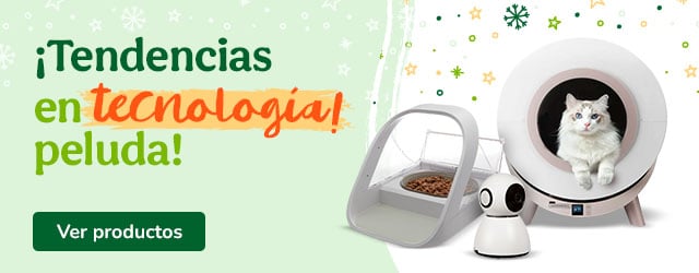  Especial Tecnología