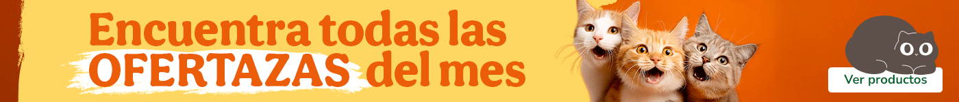 Todas las ofertas para gato.