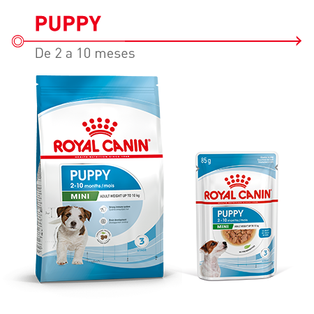 Royal Canin Puppy Mini. Pienso y comida húmeda para cachorros