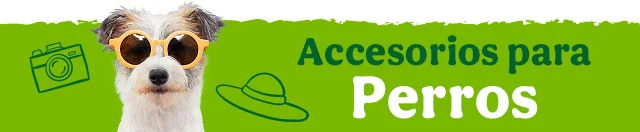 Los mejores accesorios para perro.